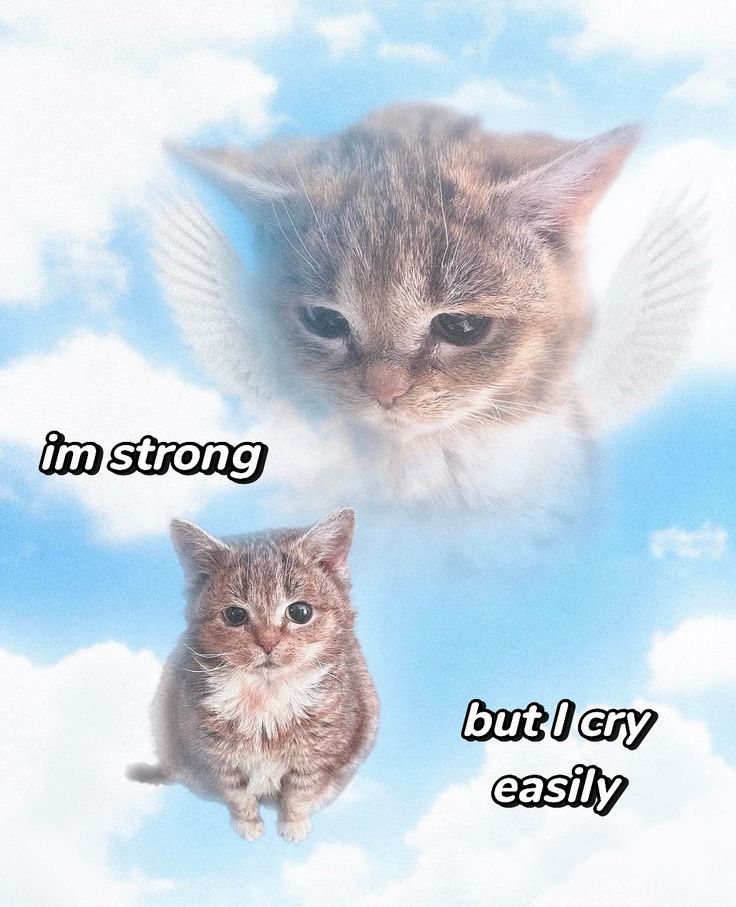 adorabledaiIy's tweet photo. https://t.co/WysjO5ztdi