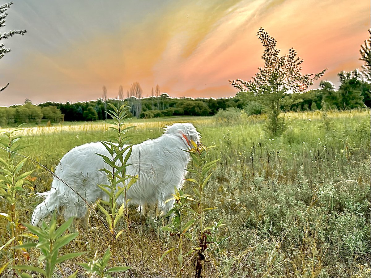 Good morning NorthernTails Nation!  Have a great Hump Day!