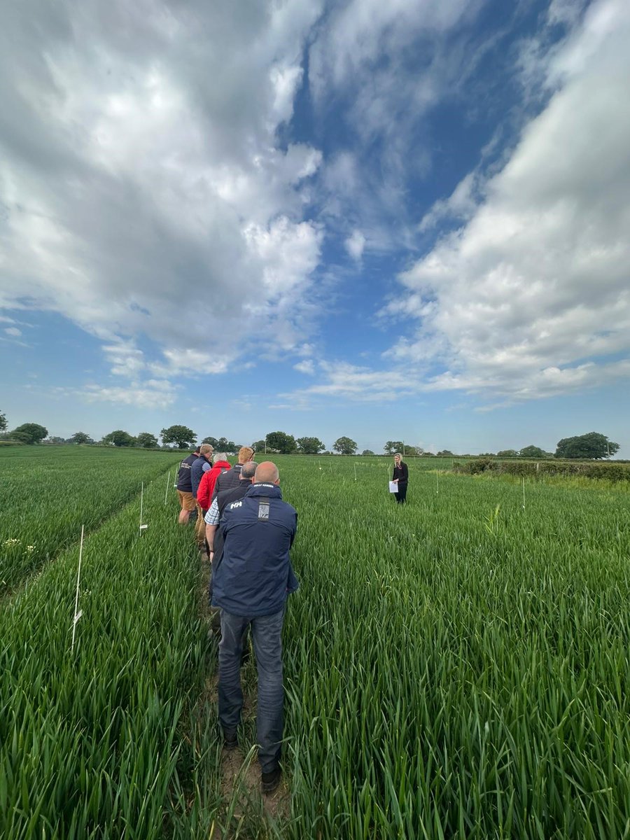 FMCAgroUK's tweet photo. Yesterday was the first of our #isoflexactive demo days near Chester. โ๏ธ
The day was hosted by our Commercial Technical Team member Kirsty McKenzie who looks after the North and South West. ๐
It was a great day with great conversations and we really enjoyed hosting our customers whilst showcasing Isoflexยฎ active in action in the field.
We still have a number of trial days available across the country so itโs not too late to have a look. ๐
All you need to do is get in touch with your local Commercial Technical manager who will be able to let you know the dates and locations. โ๏ธ