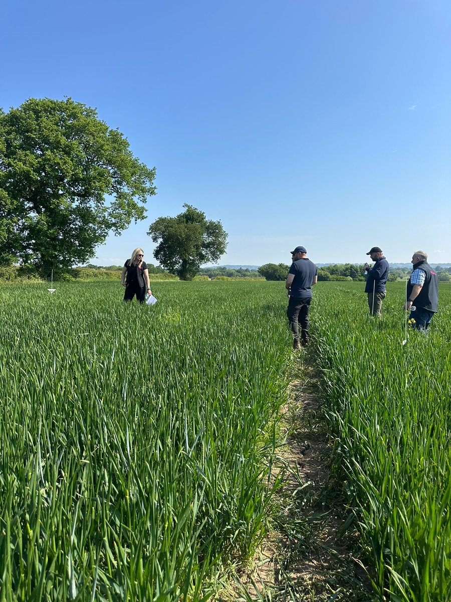 FMCAgroUK's tweet photo. Yesterday was the first of our #isoflexactive demo days near Chester. โ๏ธ
The day was hosted by our Commercial Technical Team member Kirsty McKenzie who looks after the North and South West. ๐
It was a great day with great conversations and we really enjoyed hosting our customers whilst showcasing Isoflexยฎ active in action in the field.
We still have a number of trial days available across the country so itโs not too late to have a look. ๐
All you need to do is get in touch with your local Commercial Technical manager who will be able to let you know the dates and locations. โ๏ธ