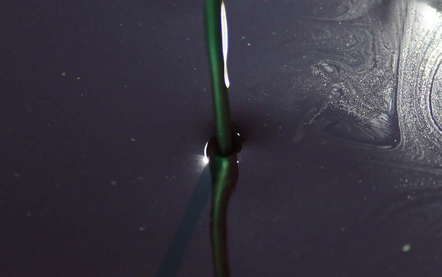 RobinRedTM tweet picture
