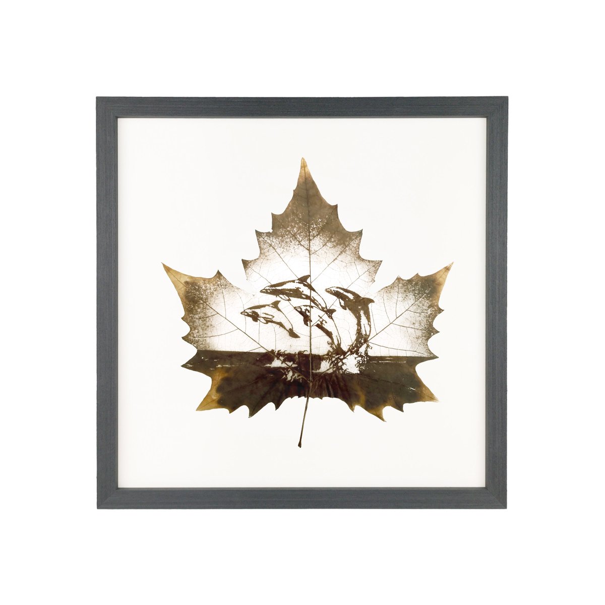 Flora_Whisper's tweet photo. 🐬 Dive into joy with Dolphin Leaf Carving Art! Handmade from fallen leaves, this ocean-inspired piece brings nature’s magic to your wall. 🌿🌊 #DolphinLeafArt #EcoFriendlyDecor https://t.co/rc9KNBYWEU