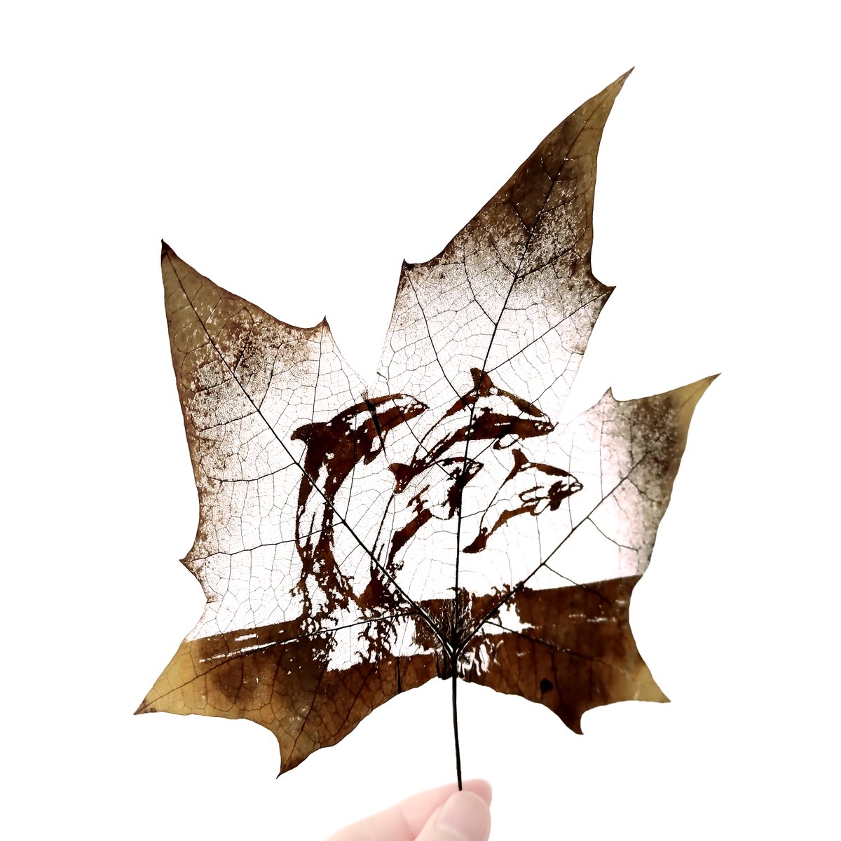 Flora_Whisper's tweet photo. 🐬 Dive into joy with Dolphin Leaf Carving Art! Handmade from fallen leaves, this ocean-inspired piece brings nature’s magic to your wall. 🌿🌊 #DolphinLeafArt #EcoFriendlyDecor https://t.co/rc9KNBYWEU