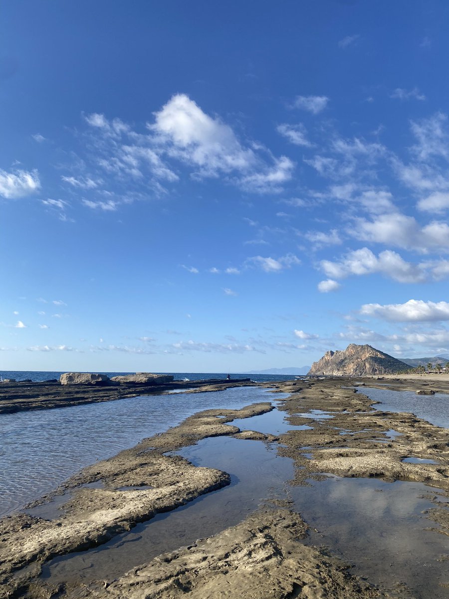 MRXPRIME3k2's tweet photo. 4 günlük paradise 🫠 https://t.co/5XncdlHSxb