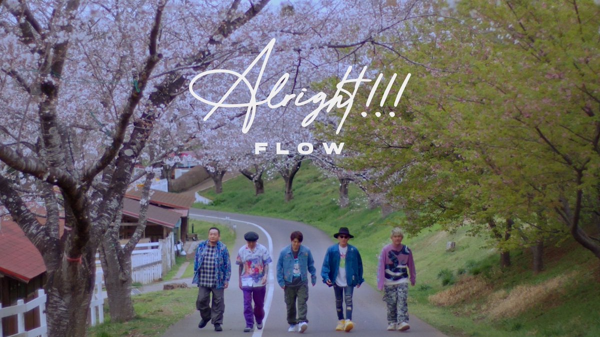 FLOW tweet media