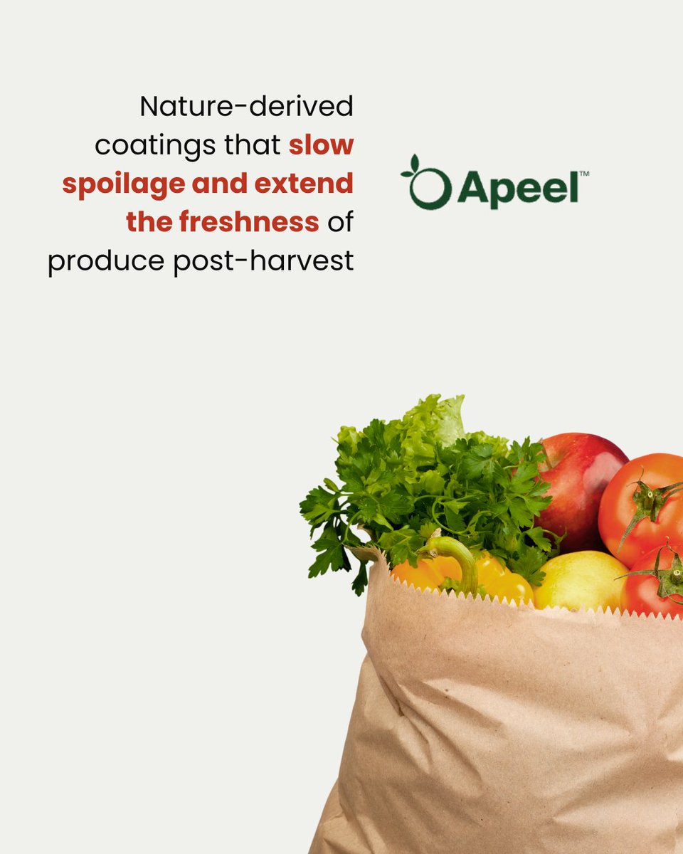 In our latest article, we explore how five #startups are leading the charge with breakthrough innovations

<a href="/TomorrowFoods/">Tomorrow Foods</a> @Saveggy <a href="/ChinovaB/">Chinova Bioworks</a> I-Challenge <a href="/apeelsciences/">Apeel Sciences</a> 

Full article: eatableadventures.com/news/the-new-s…