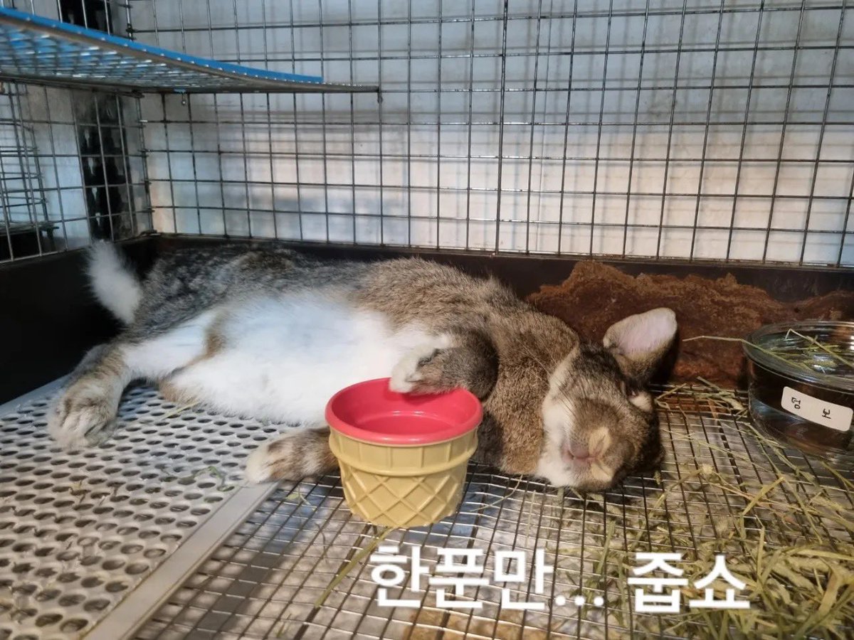 벼루 tweet media