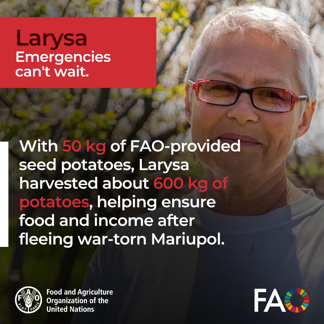 FAO in Emergencies (@faoemergencies) on Twitter photo Amid war’s devastation, with <a href="/FAO/">Food and Agriculture Organization</a>’s support, Larysa—who had never farmed before—turned 50kg of seed potatoes into 600 kg of food.
But as humanitarian funding dries up, Ukrainian families like hers face deeper uncertainty.
bit.ly/4dgcL3T
#EmergenciesCantWait Amid war’s devastation, with <a href="/FAO/">Food and Agriculture Organization</a>’s support, Larysa—who had never farmed before—turned 50kg of seed potatoes into 600 kg of food.
But as humanitarian funding dries up, Ukrainian families like hers face deeper uncertainty.
bit.ly/4dgcL3T
#EmergenciesCantWait