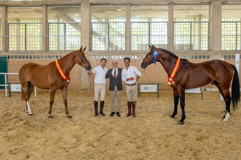 OcioCaballo (@ociocaballo) on Twitter photo 'Estepa' y 'Arco', campeones de la raza Anglo-árabe en la Feria de Jerez 🐎 <a href="/aeccaa/">Anglo-Árabe</a>
✏️ NOTICIA COMPLETA: ociocaballo.com/2025/05/estepa… 'Estepa' y 'Arco', campeones de la raza Anglo-árabe en la Feria de Jerez 🐎 <a href="/aeccaa/">Anglo-Árabe</a>
✏️ NOTICIA COMPLETA: ociocaballo.com/2025/05/estepa…