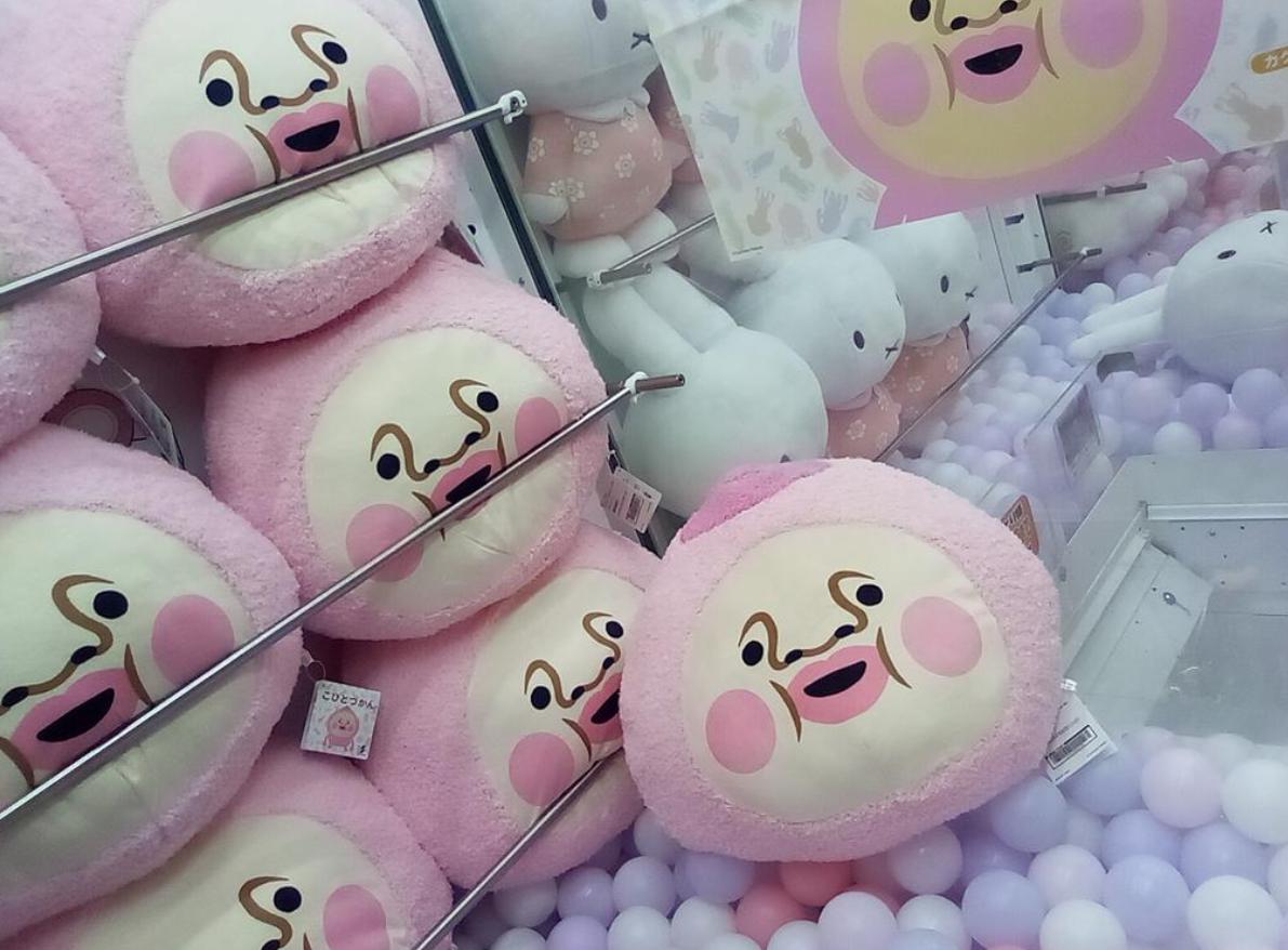 ぬいぐるみ おもちゃ こびとづかん フェイスBIG