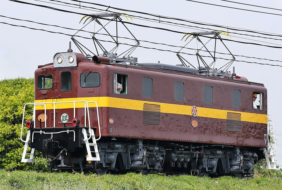 金の虎 株式会社MERFオンラインショップ【KUROTANI】純金 円満 寅（とら