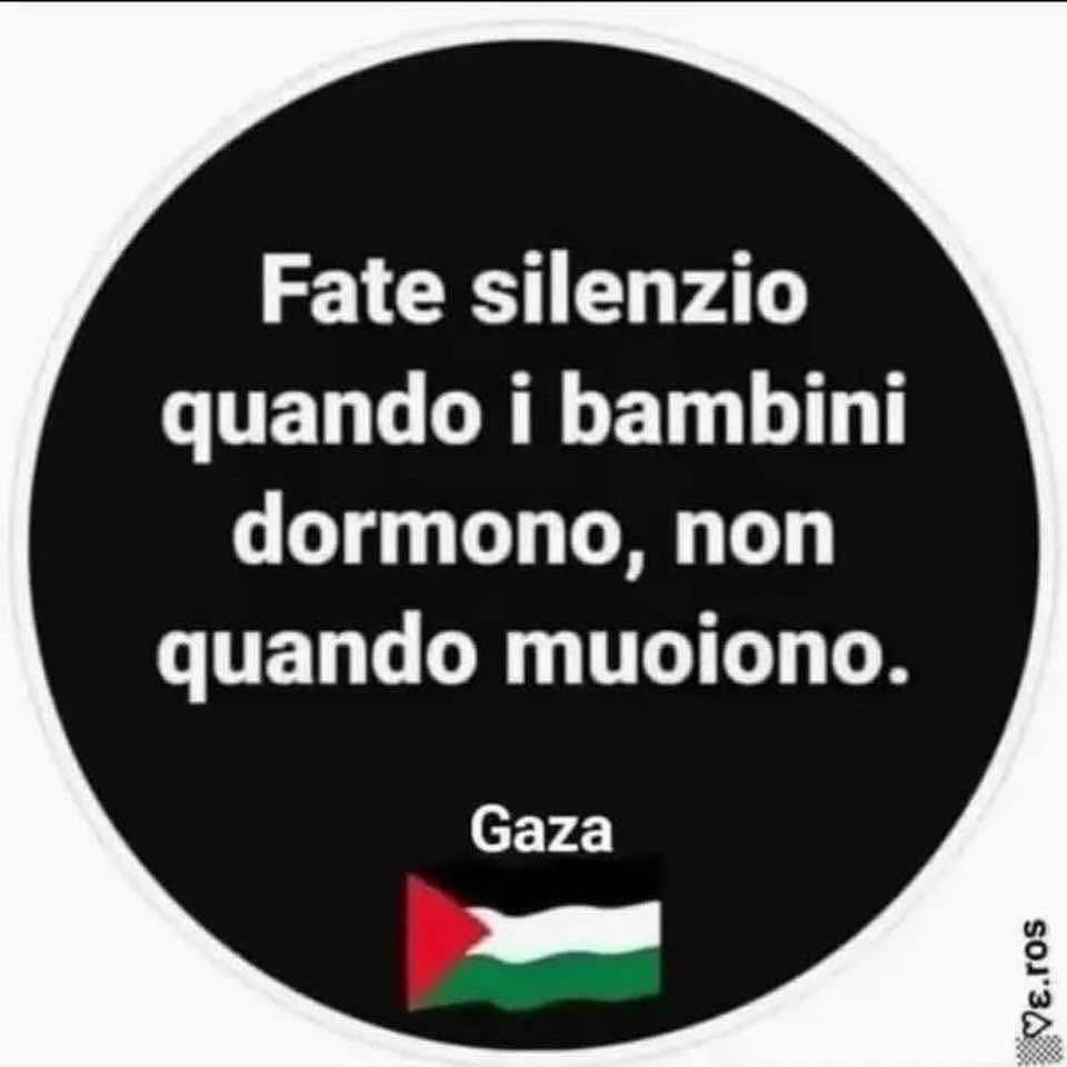 lillo_rizzo's tweet photo. https://t.co/fR0skx2QTV