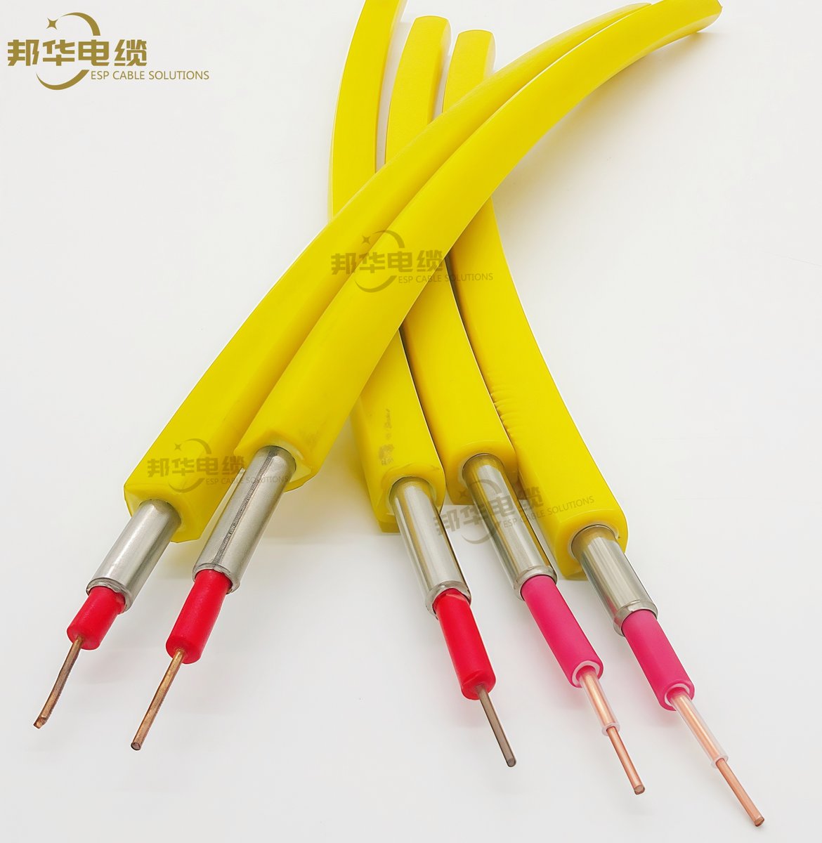 Fiona1799829's tweet photo. TEC Cable 
Talk with me : sales03@espcablesolutions.com
Whatsapp : +86 17336989486
https://t.co/Mc2RhvkxBt
#downhole #offshore #drilling #oilandgas #petroleum #oilfield #completion #energy #espcable #welldrilling #upstream #oiltoos #welltesting #pump #oilrig #espsystem https://t.co/BD9K8YeXO4