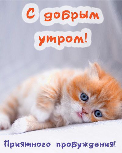 Сегодня моя ба отправила мне открытку, не подозревая, насколько иронично это смотрится