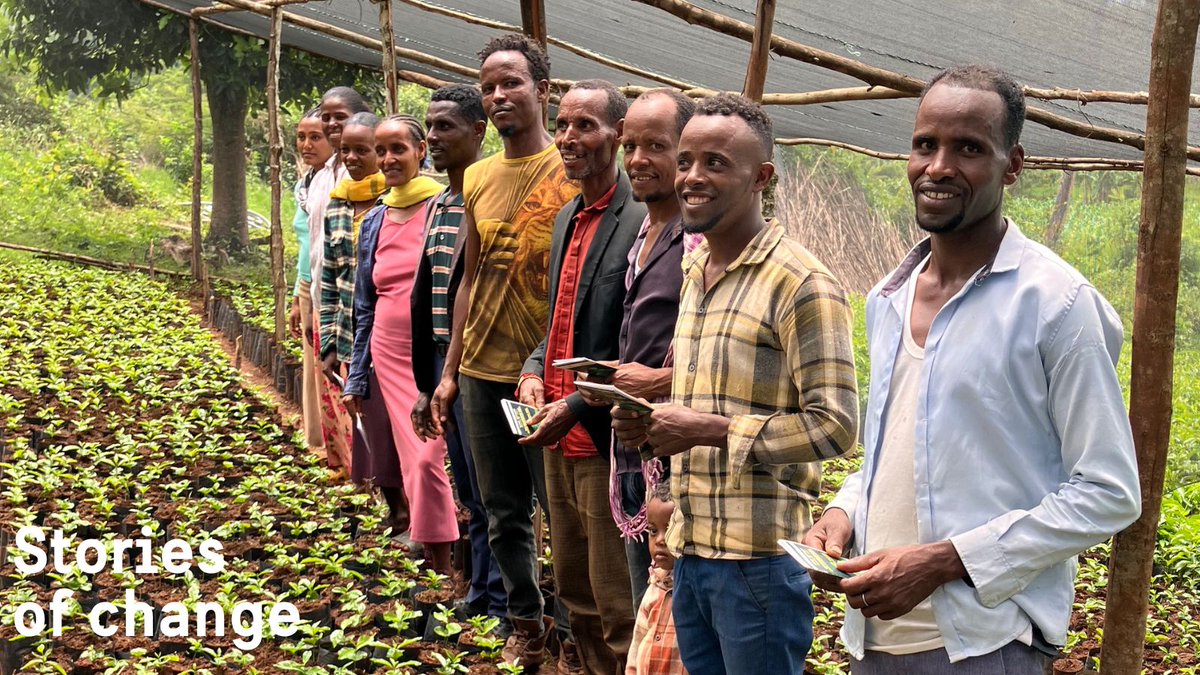 Sweden in Ethiopia & AU (@sweinethiopia) on Twitter photo #StoriesOfChange In Ethiopia’s Kaffa Zone, 24 youth left charcoal burning behind to grow a greener future. With <a href="/GGGIEthiopia/">GGGI Ethiopia</a> & Sweden’s support, they now run a nursery selling avocado & coffee seedlings. Women in the group are gaining income—and power over household decisions. #StoriesOfChange In Ethiopia’s Kaffa Zone, 24 youth left charcoal burning behind to grow a greener future. With <a href="/GGGIEthiopia/">GGGI Ethiopia</a> & Sweden’s support, they now run a nursery selling avocado & coffee seedlings. Women in the group are gaining income—and power over household decisions.
