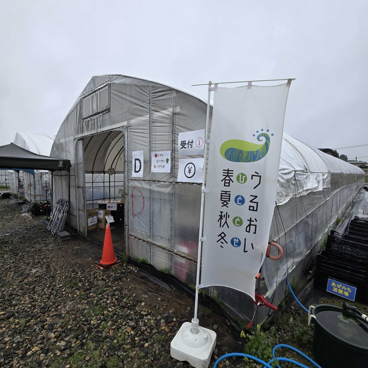 GiftonShop's tweet photo. 北上のうるおいひととせさんに苗を買いに行って来たトン🐷
あいにくの雨だったけど大量の苗を買うお客さんがいっぱいいたトン🐷
美味しくて色とりどりなお野菜を育てているトン🐷 ふるさと納税にもGIFTONのお肉と一緒に出ているトン🐷 お肉も良いけど野菜もね🥬
 #うるおいひととせ
 #野菜  #苗 https://t.co/XUxTylPryG