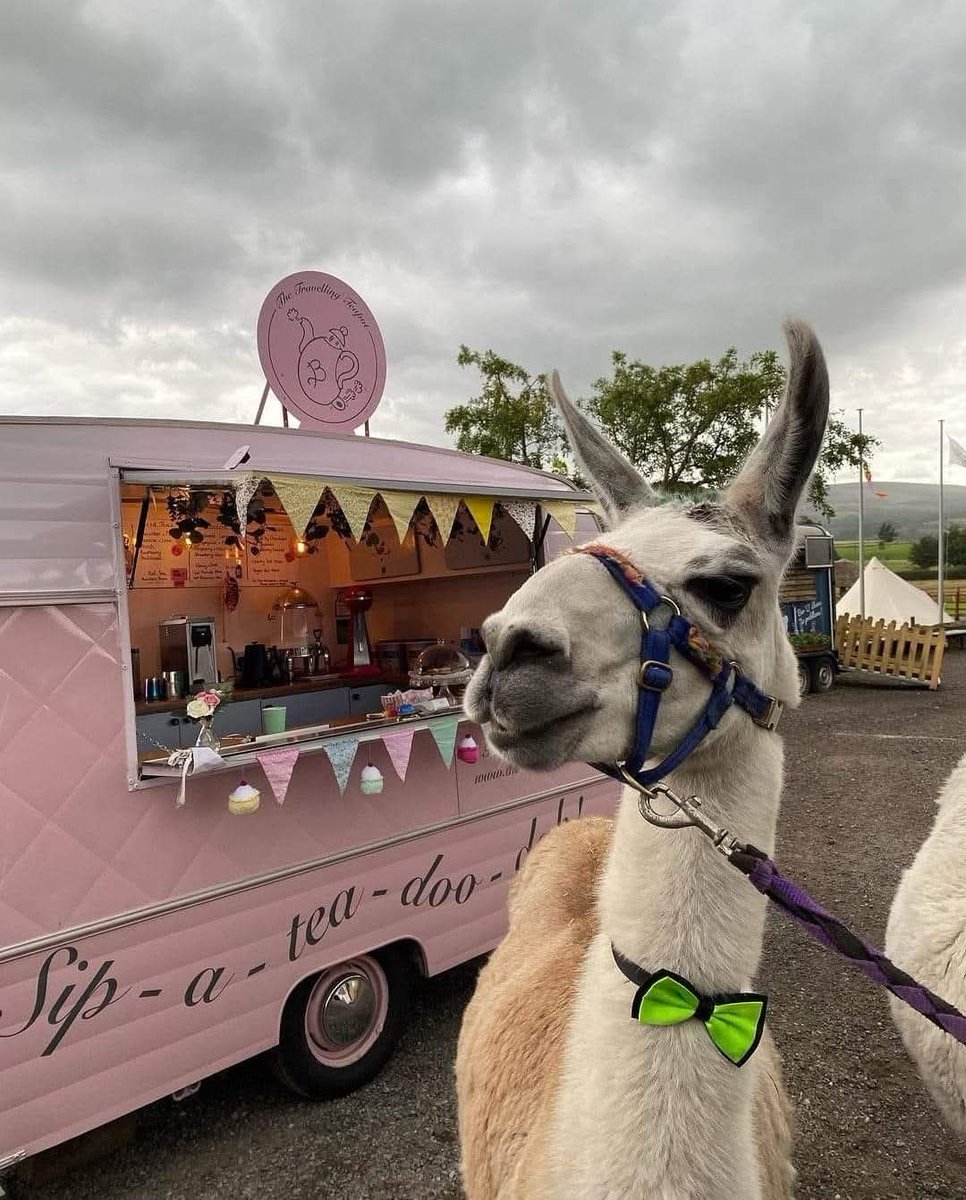 TheEnglishCarav's tweet photo. Its International Tea Day!
"Life is brew-tea-ful with a cup of tea."
#internationteaday #tea #teatime #caravan https://t.co/PaQXZXkacl