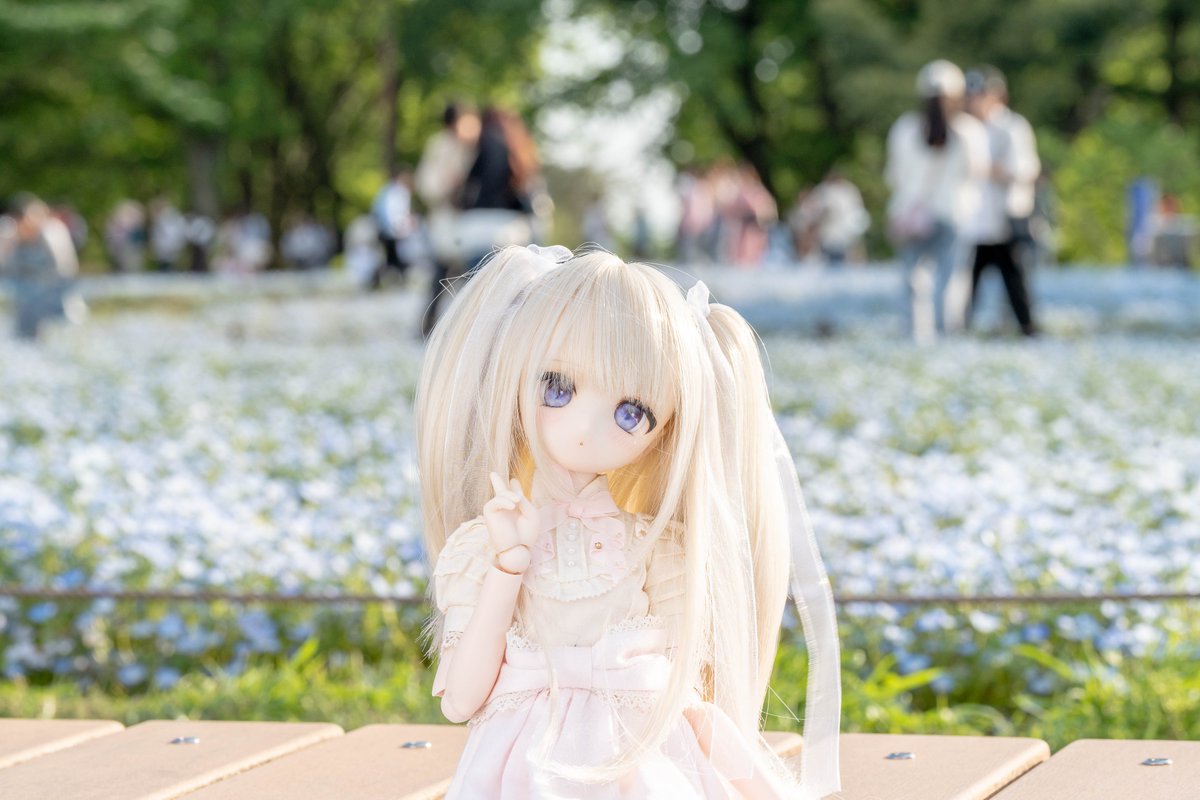 とも (@tomo_mdd) on Twitter photo 