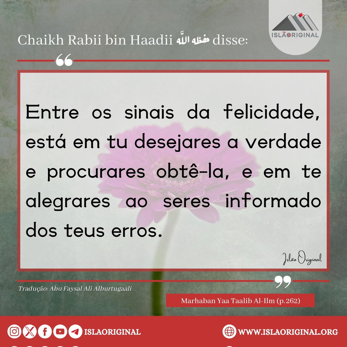 islaoriginal's tweet photo. Entre os Sinais da Felicidade...

https://t.co/nQQ51lQaeb

#Islão #alcorão #sunnah #salafiyyah #muçulmano #portugal #brasil #mocambique #caboverde #Angola #verdades https://t.co/IzKPujH6pa
