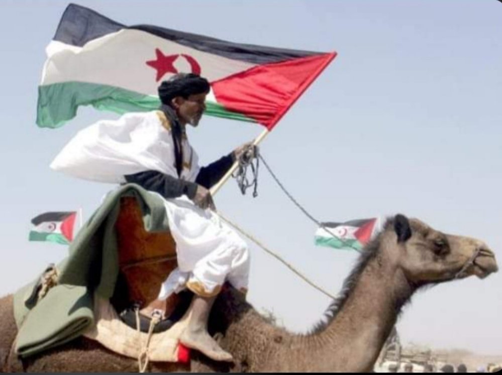 Bon Dia i SÀHARA LLIURE!
✌🏾🇪🇭 ✌🏾🇪🇭 ✌🏾🇪🇭
<a href="/sanchezcastejon/">Pedro Sánchez</a> 
<a href="/Yolanda_Diaz_/">Yolanda Díaz</a>
#ElSàharaNoEsVen
#ElSàharaOccidentalNoÉsMarroc
Mai ho ha sigut i mai ho serà!!!
#FreePalestine 
#FreeGazaFromIsrael