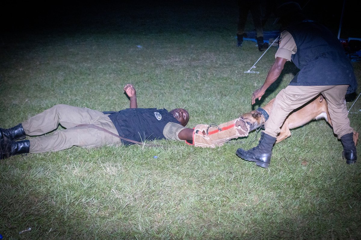 Following the deployment of Police dogs across all districts and regions over the past five months, their invaluable role in law enforcement has been demonstrated. These canines have proven to be a critical asset to policing efforts.
#OpenGovUg