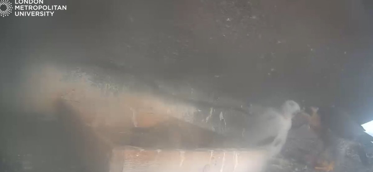The camera lens has cleared slightly,