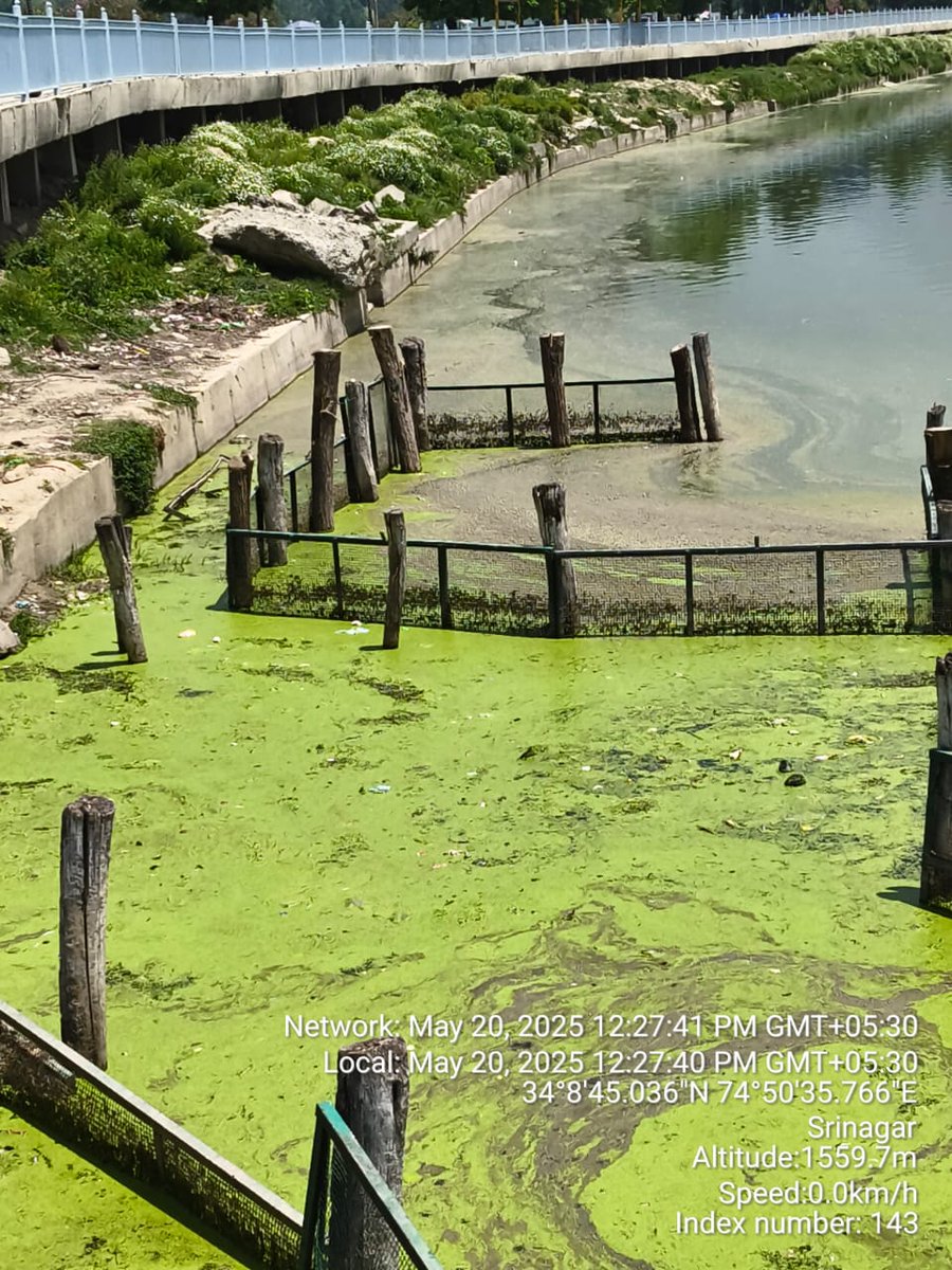 MirHameed313's tweet photo. Despite Dal Lake’s timeless beauty, persistent weed growth—especially near Duck Park—remains a pressing concern.
Official efforts continue, but a more focused and sustainable approach is urgently needed. #SaveDalLake #Srinagar https://t.co/YUoVPh4Jq1