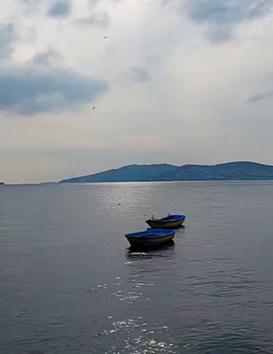 Çıkarsa yüreğinde yara...
Yaradan dönüştürür bir gün hayra🕊️