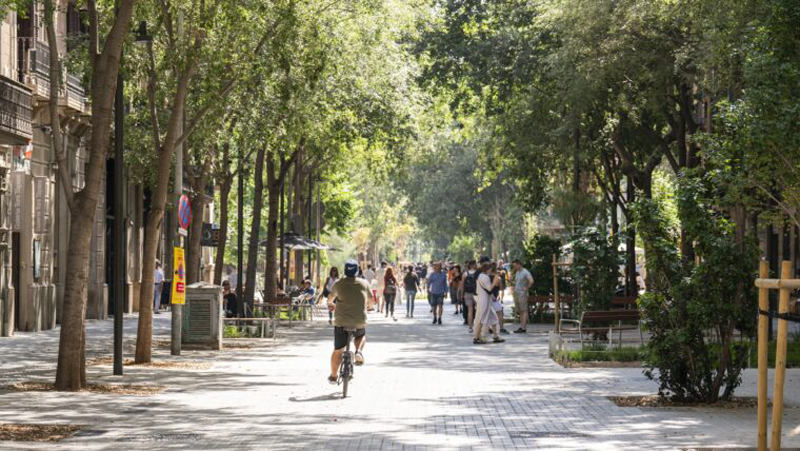 ZehnderIberica's tweet photo. ☀️ Barcelona contará con 70 nuevos espacios de sombra en áreas especialmente vulnerables al calor.
🌐 Para más información, haz clic aquí: https://t.co/7pZSWV7rt9
@bcn_ajuntament
#EficienciaEnergética #Sostenibilidad #ÁreasVulnerables #Barcelona #PlanClima #Arquitectura https://t.co/vcmC8RVfrg