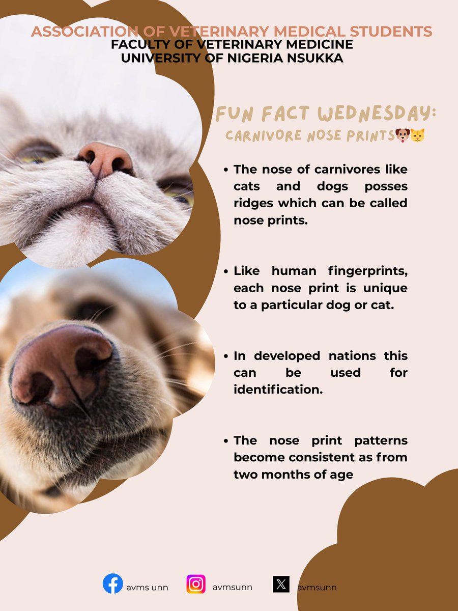 Avmsunn's tweet photo. 🐶 *Fun fact Wednesday: carnivore nose prints!* 

Did you know every carnivore's (dogs, cats, lions, tigers) nose print is unique, like a human fingerprint? 🐾😮 https://t.co/l99rGfYSn6