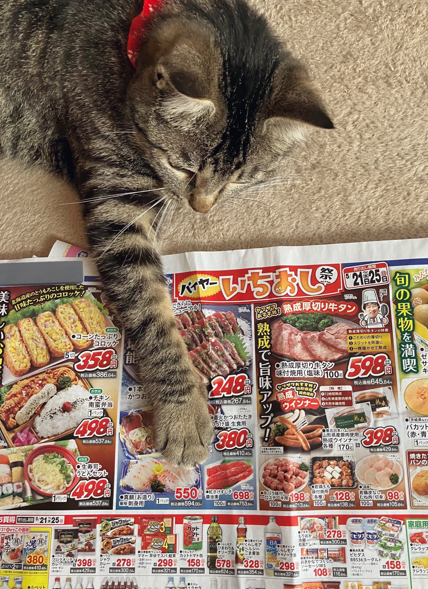 稚代✧ (@chiyoman) / X