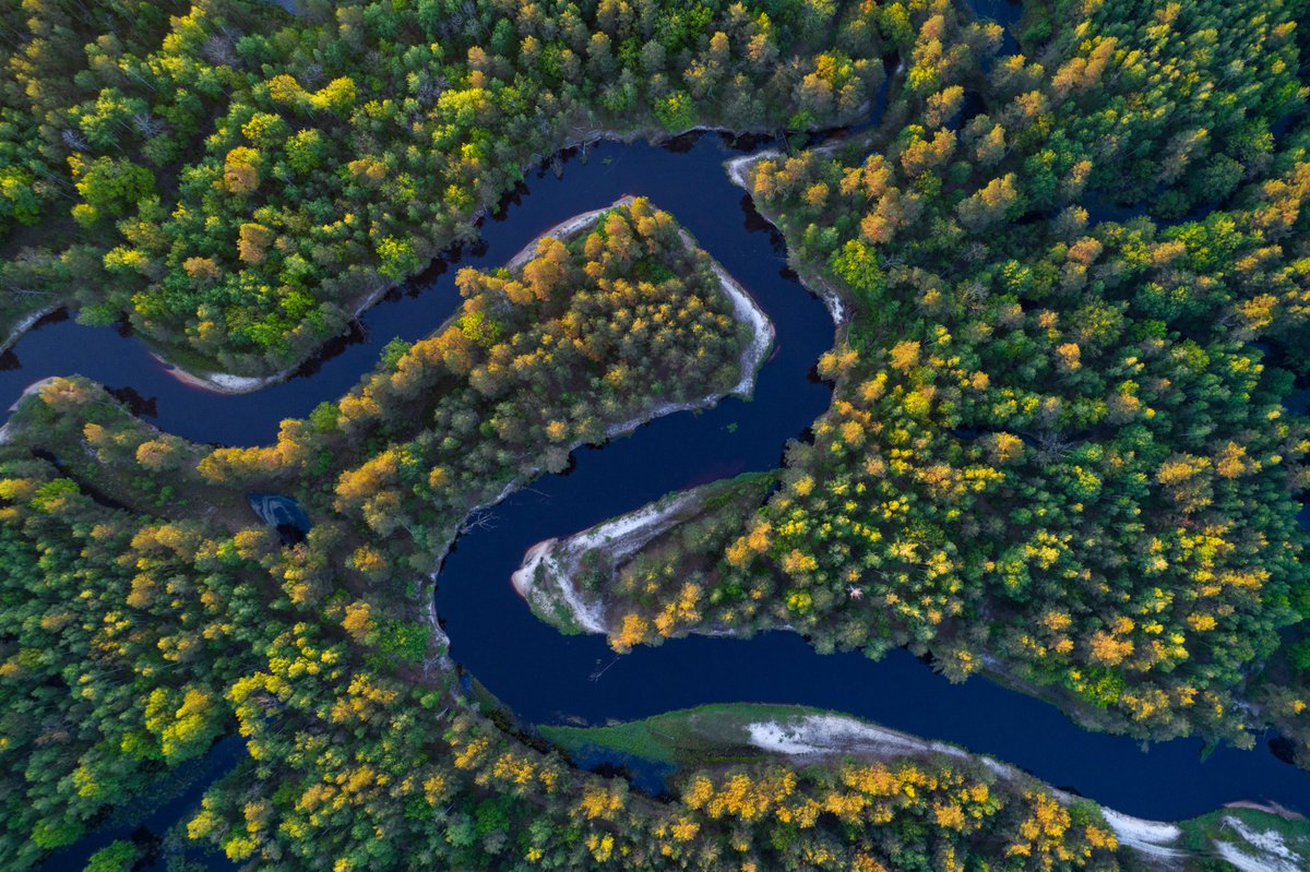 wildpolesia's tweet image. #MigratoryFish populations worldwide have declined by 3/4 since the 1970s. 
The reasons for this catastrophic process are rivers&apos; pollution, alteration and damming. 
Healthy &amp;amp; free-flowing #rivers are vital for the #biodiversity of #WildPolesia &amp;amp; #Europe!

#WorldFishMigrationDay