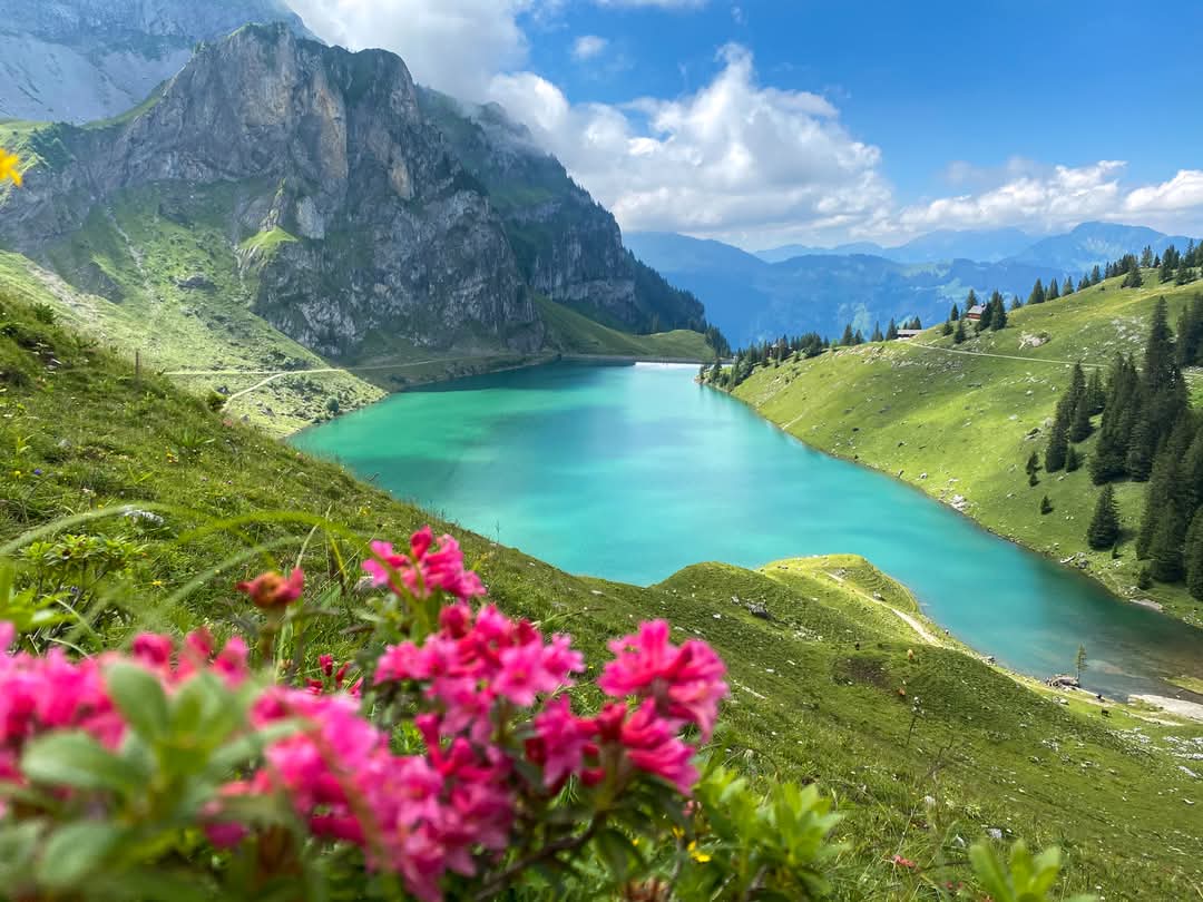 juiz_nidwalden's tweet photo. Wandern am Wasser ist in #Nidwalden ein echtes Erlebnis: Idyllische Bergseen, rauschende Flüsse und eindrucksvolle Wasserfälle begleiten dich auf abwechslungsreichen Routen.
🥾 https://t.co/us2XgfKTSg
#Bannalp #Ennetmoos #Kehrsiten #Klewenalp #Wassertipp #Wanderlust #Switzerland https://t.co/y2rVyMVsi1