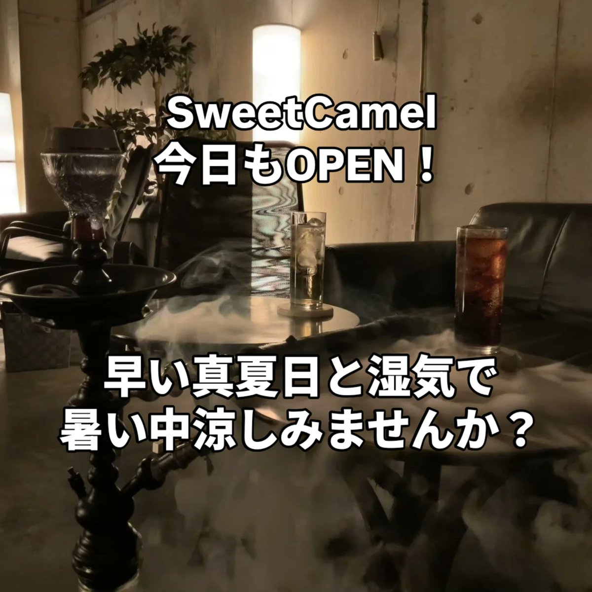 Sweetcamel_'s tweet photo. OPEN14:00-25:00
飲食持ち込み可能
無料ダーツ、ゲームあり

OPEN: 14:00-25:00
Food and drink can be brought in 
Free darts and free games 

▼店舗のご予約はこちら
https://t.co/eK15iWBeXf

▼オンラインショップはこちら
https://t.co/ALkaMgw5mO

#なんばシーシャ #心斎橋シーシャ #namba https://t.co/q6uK17qWFp