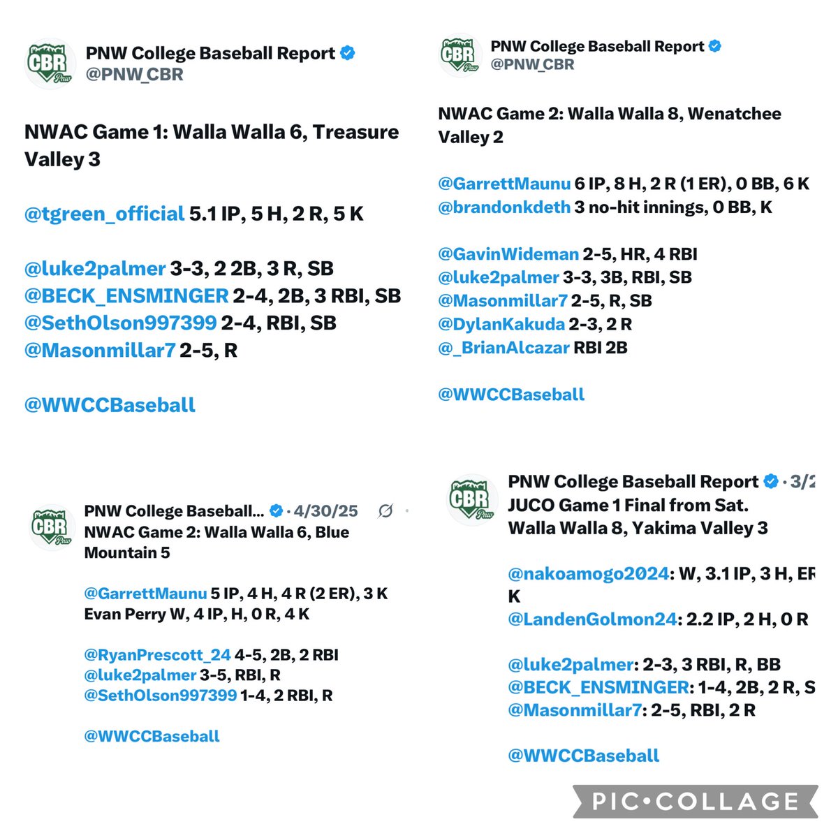 Luke Palmer tweet media