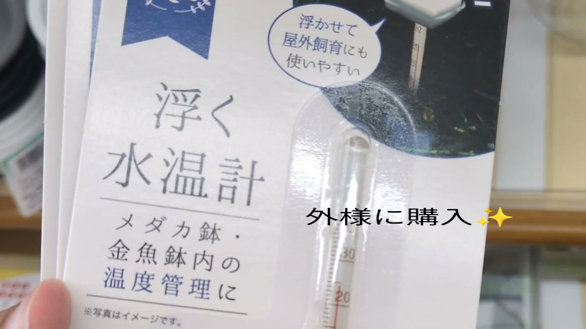 A_20180907's tweet photo. 雨やし玄関前でメダカの卵をとりわけよったら上からヘビふってきた😱
背中になんかあたってドサッと音がしてみたら2mほどのヘビ🐍
さすがに怖かったしかなりビビりました😨
長女は玄関の網戸越しにヘビ落ちてくるし私叫ぶしでパニックギャン泣き
次女は車でテレビ見てて私の声にびっくりして大泣き😭 https://t.co/iahx25dazK