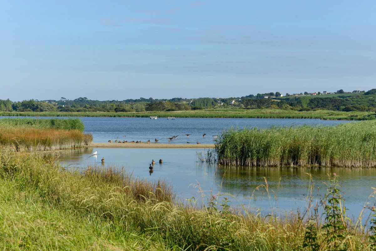 Today we celebrate #Natura2000Day, shining a spotlight on Europe's largest coordinated network of protected areas! 🌳🦅

Did you know that you can explore all 27,000+ Natura 2000 sites across the EU using our interactive map viewer?