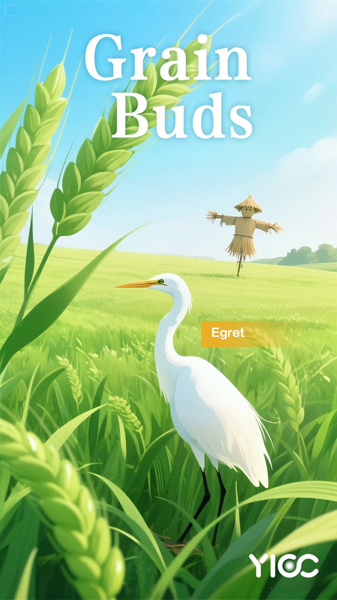 YTheLittleSpoon's tweet photo. “Grain Buds”#24SolarTerm 🌿
Today marks Xiaoman ("Little Fullness")—summer ripens as wheat grains swell, yet nature reminds us: perfection lies in the "almost".
Life, too, is sweetest when just enough, not too full.🌾 https://t.co/DaroEMVakh