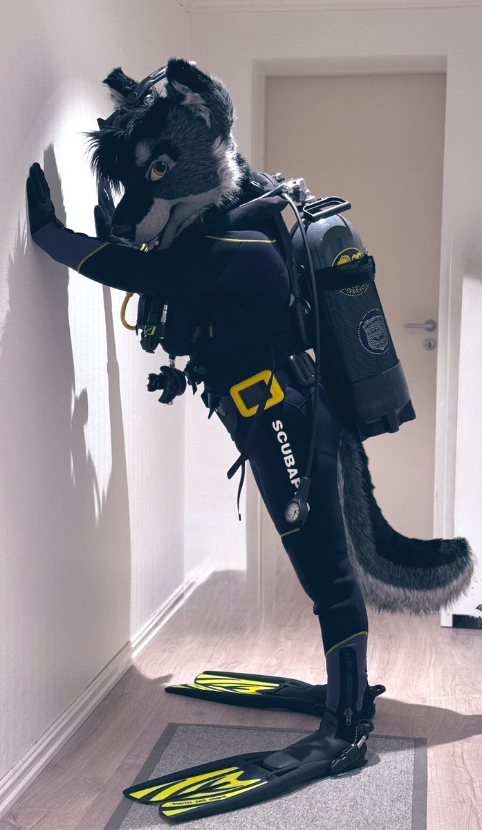 Scuba wolves in your area? It is more common than you might expect! 🤿+🐺= 👌🫨🤙

#Scubafur #WetsuitWednesday #ScubaWuff