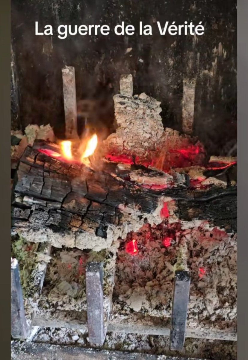 DelDelphe's tweet image. vt.tiktok.com/ZShstcm1j/