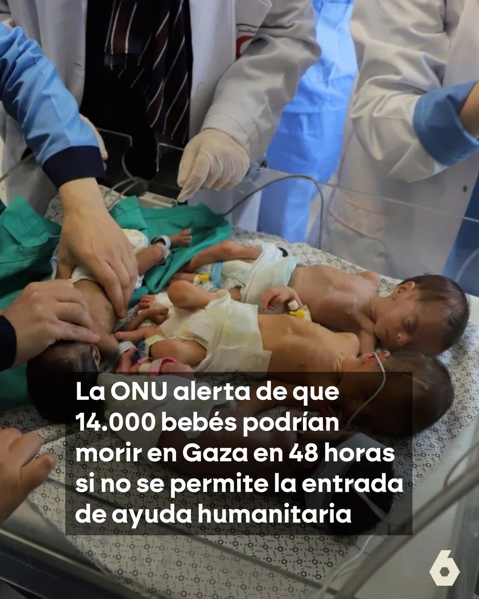 💪El compromiso del Partido Animalista con los derechos humanos es inalterable.

🌍La Comunidad Internacional tiene que actuar de inmediato y parar la tragedia humanitaria que está viviendo la población gazatí. 

👶14000 bebés pueden morir en Gaza en las próximas horas.