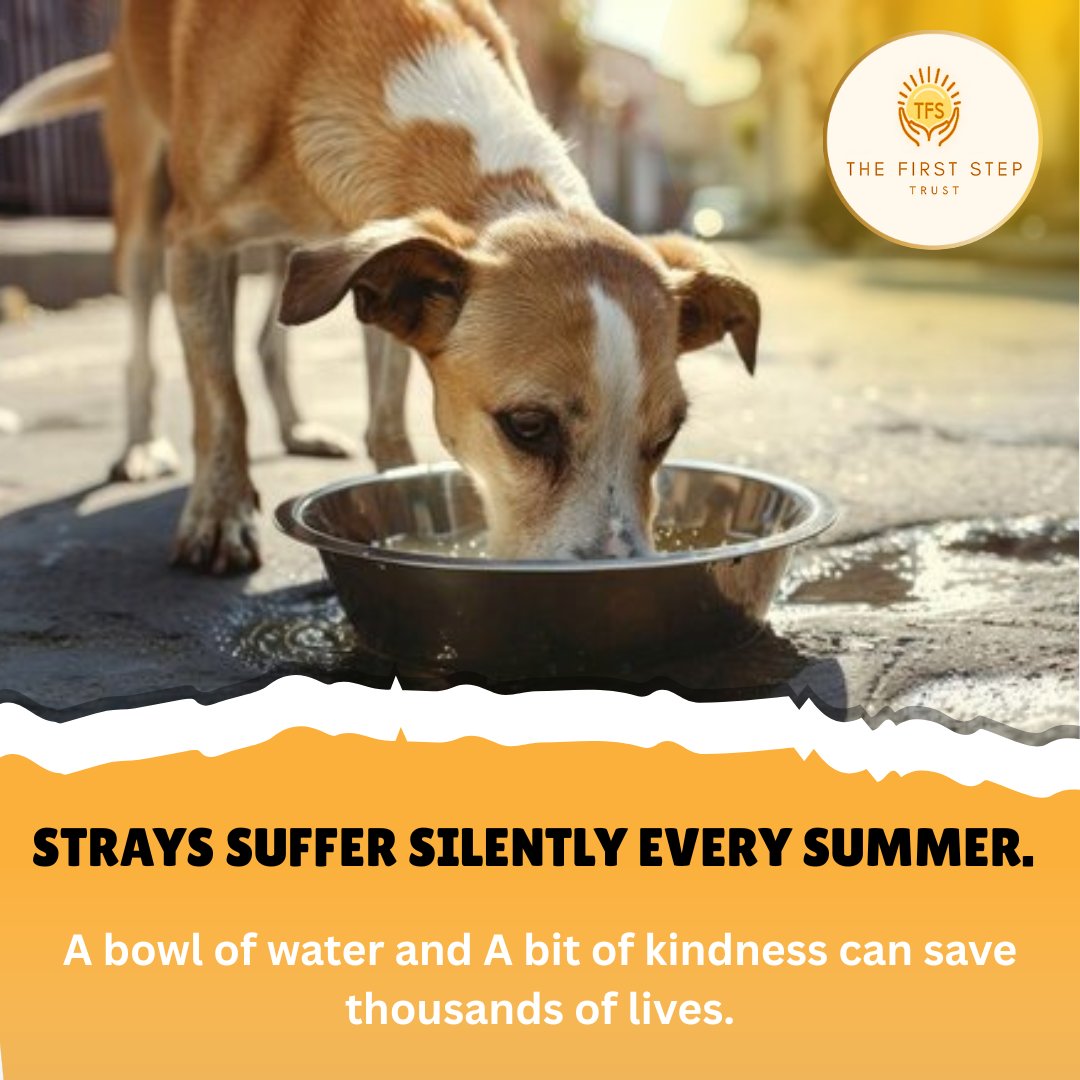 #uzaksehir #FreenBecky #MasterChefGR #Israel