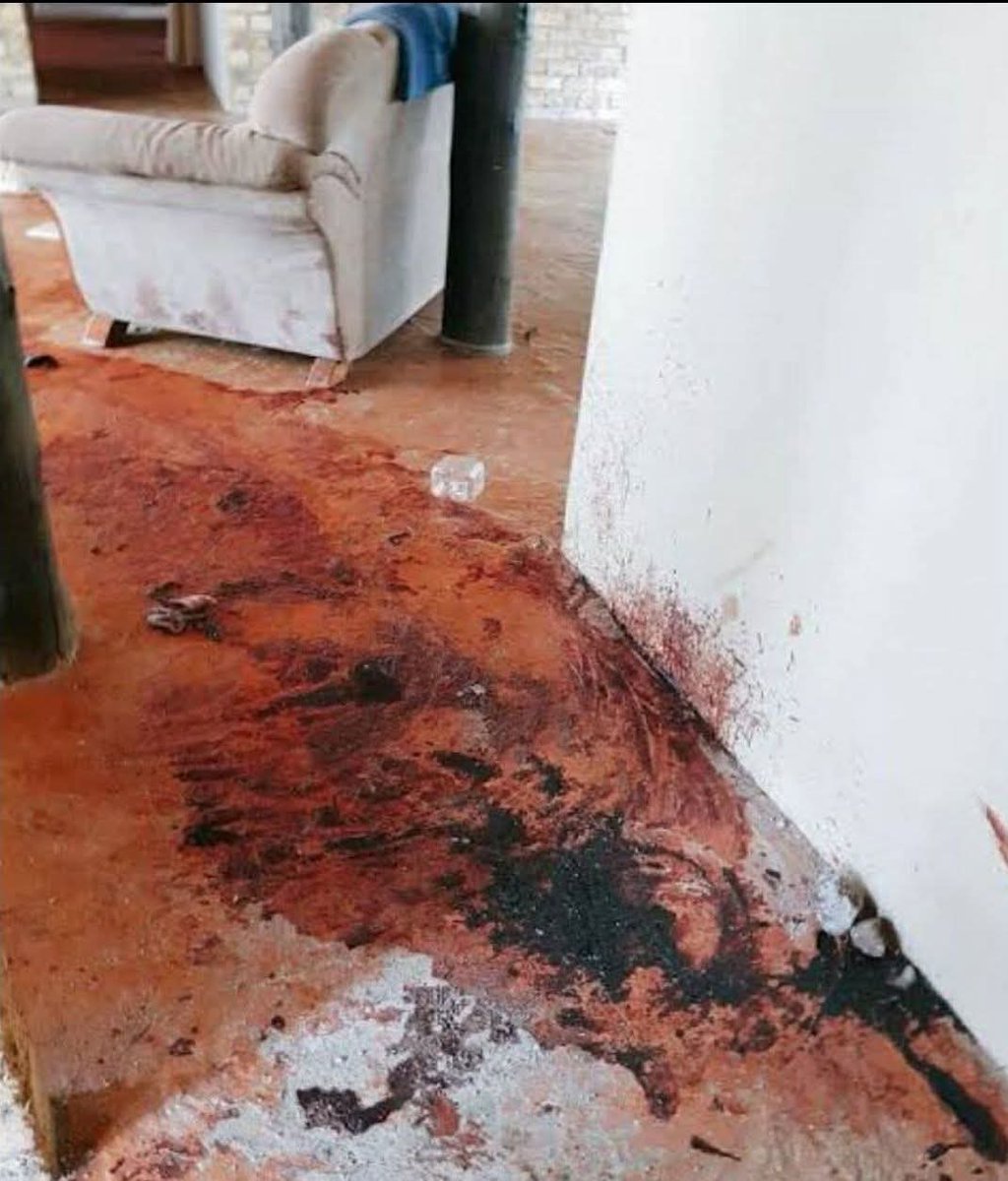 As received (photo attached of innocent blood spilled because it is just a song) 

SOUTH AFRICA IS SCREAMING — WILL THE WORLD LISTEN?

This is not a headline.
This is a cry from the shadows — a blood-soaked scream from a brutalised land.

On May 12, 2025, just after sunset, in