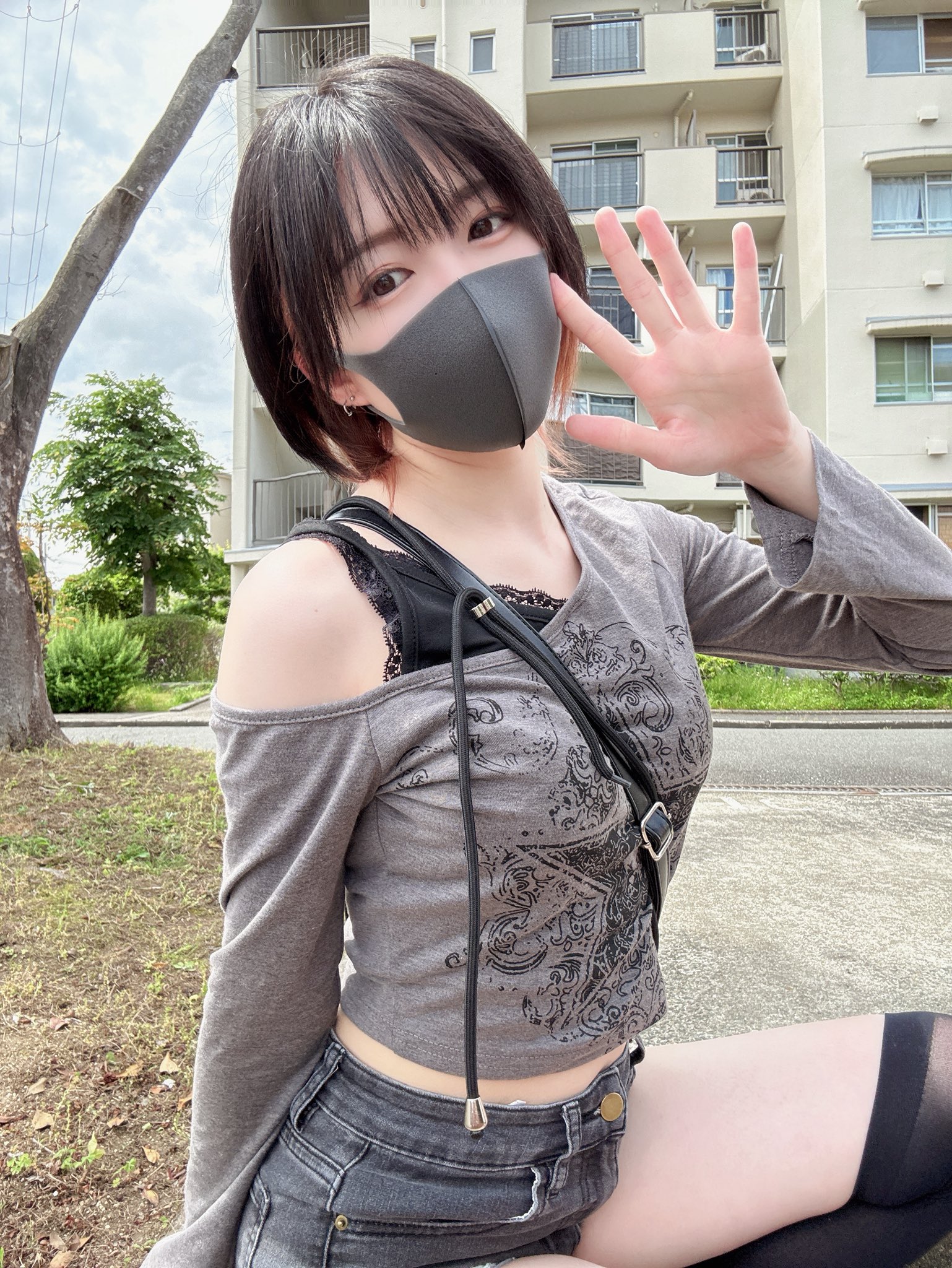 のえる🫧V8192 (@velvet_noel2) / X