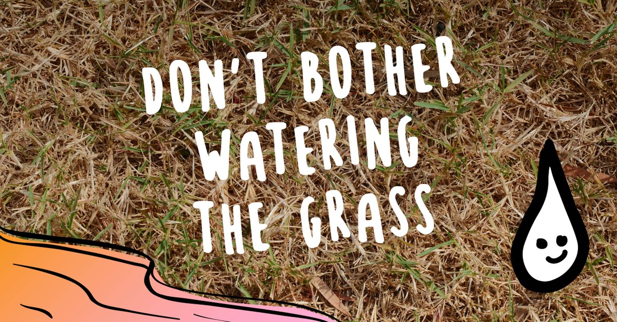 Wait for the rain to water your lawn. 

During dry spells of weather, it’s ok to let your grass go brown as its natural colour will bounce back as soon as it rains again. 🌦️🏡

For more water-saving gardening tips, see here: brnw.ch/21wSO7l 

#WatersWorthSaving
