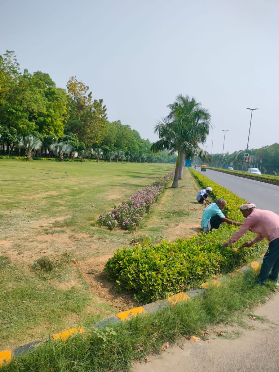 tweetndmc's tweet photo. Greener roads ahead!🌳
Ongoing beautification & greenery enhancement at 📍Shanti Path by #NDMC – turning vision into vibrant reality!
#GreenDelhi #ShantiPath #NDMCinAction #UrbanRenewal #CleanCity https://t.co/sSPnlEjxvL