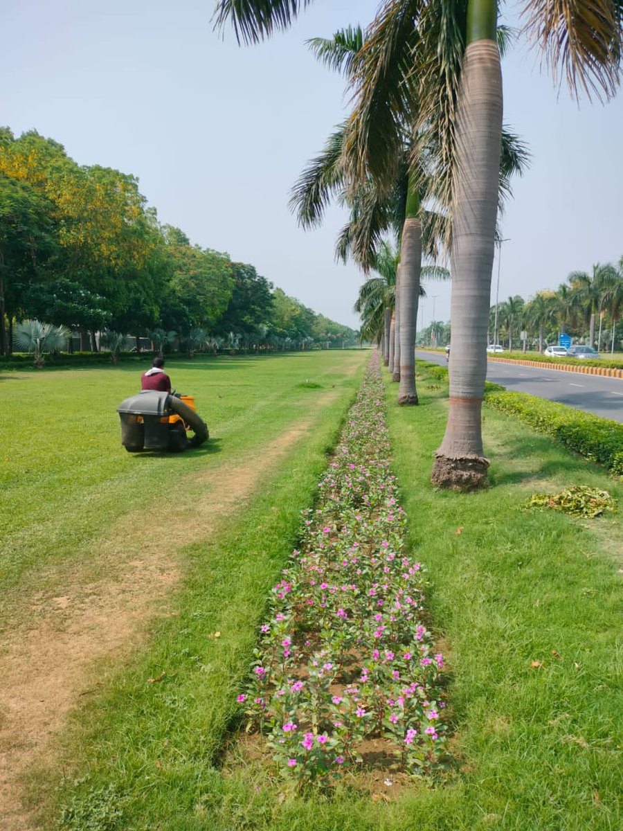 tweetndmc's tweet photo. Greener roads ahead!🌳
Ongoing beautification & greenery enhancement at 📍Shanti Path by #NDMC – turning vision into vibrant reality!
#GreenDelhi #ShantiPath #NDMCinAction #UrbanRenewal #CleanCity https://t.co/sSPnlEjxvL