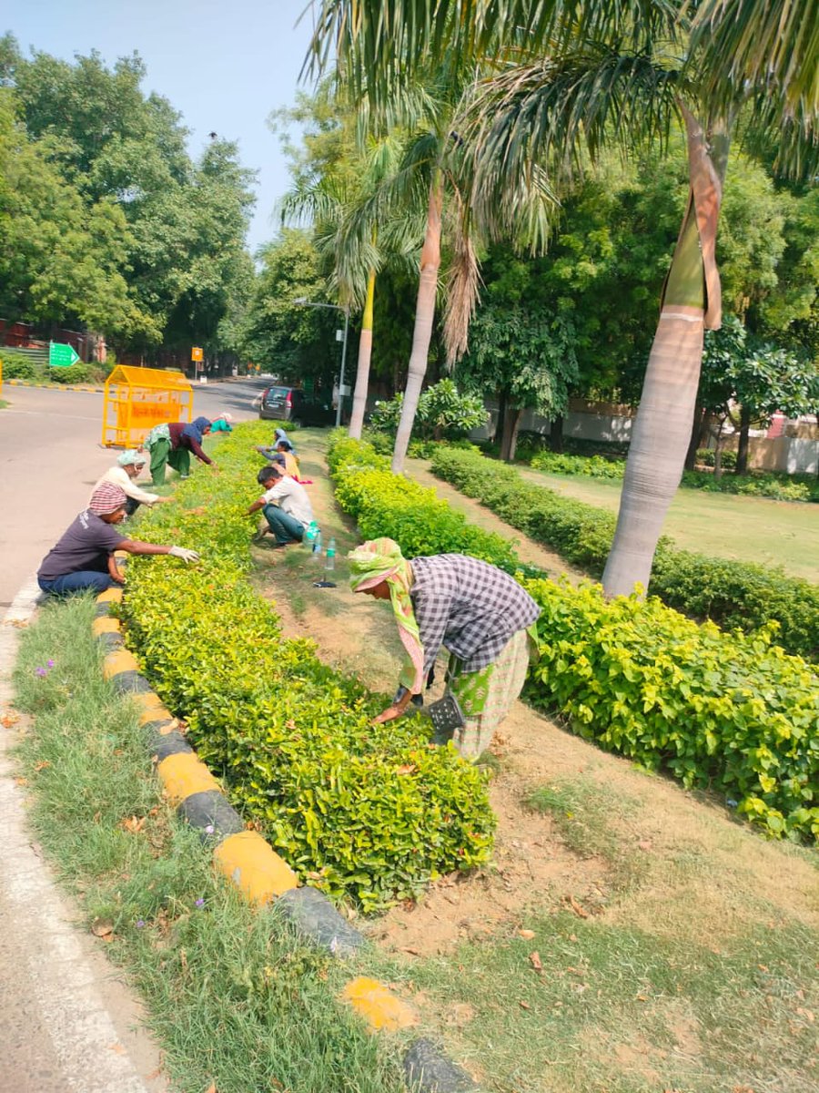 tweetndmc's tweet photo. Greener roads ahead!🌳
Ongoing beautification & greenery enhancement at 📍Shanti Path by #NDMC – turning vision into vibrant reality!
#GreenDelhi #ShantiPath #NDMCinAction #UrbanRenewal #CleanCity https://t.co/sSPnlEjxvL