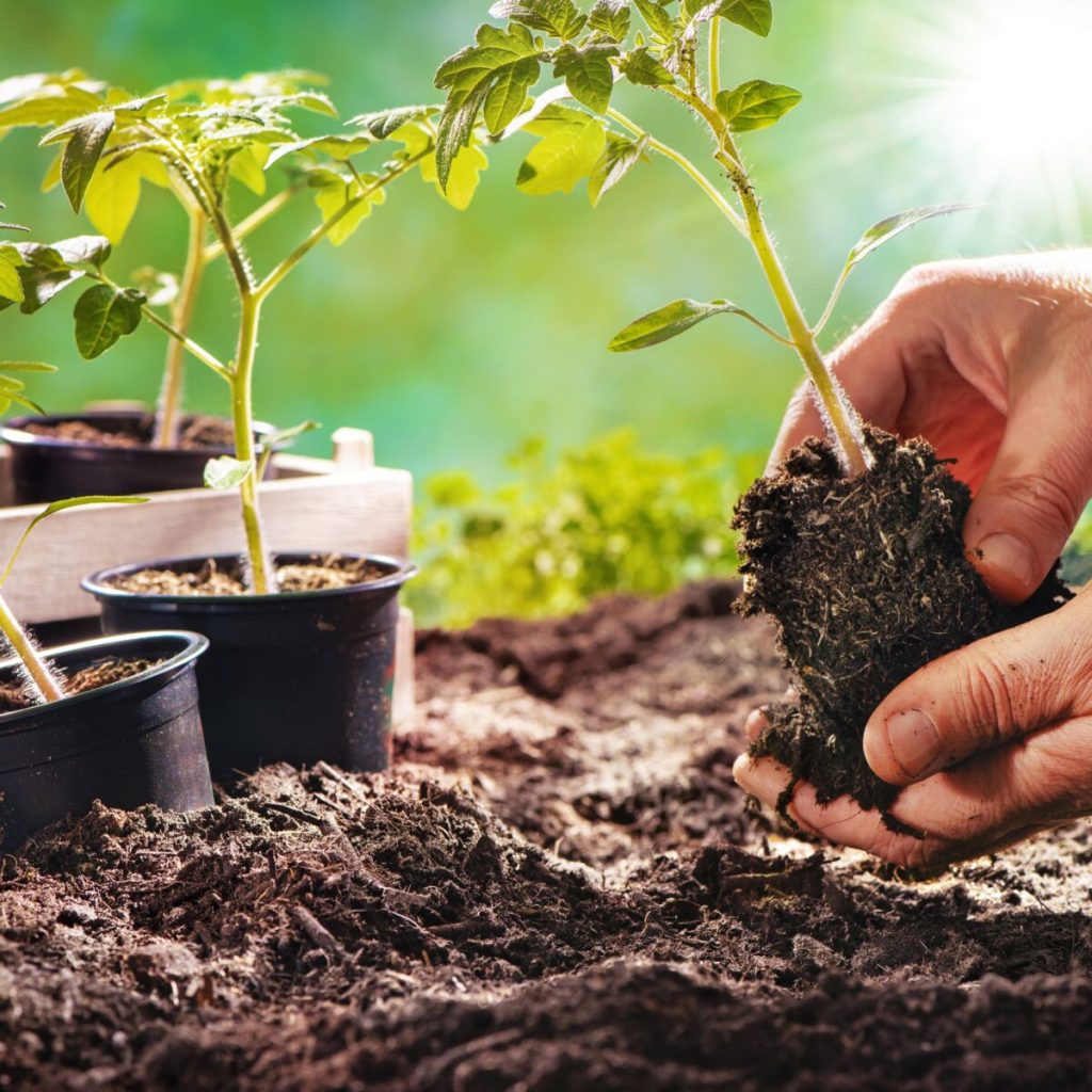foussemagne's tweet photo. Journée plantations samedi 24 mai à #Foussemagne.
Aucune inscription. La journée démarrera par un café de bienvenue à 8h00, dans la cour arrière de la mairie.
Un grand merci par avance et à bientôt ! https://t.co/ChRYCRU3Ee