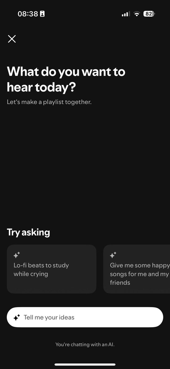 Thanks Spotify ; lofi beats to cry too